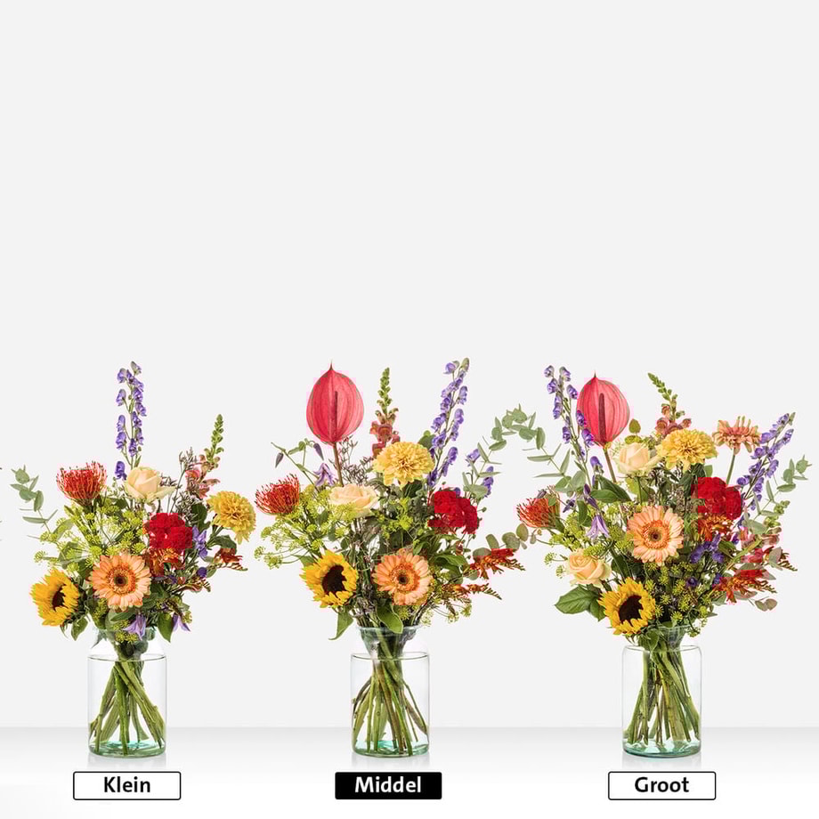 Groen gekeurd herfst - Afbeelding 3